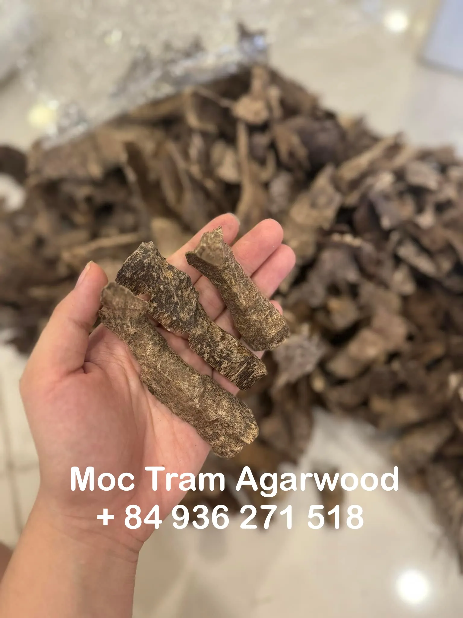 Premium Drilled Agarwood Chips – High-Grade Vietnamese Oud (Plantation Cultivated)